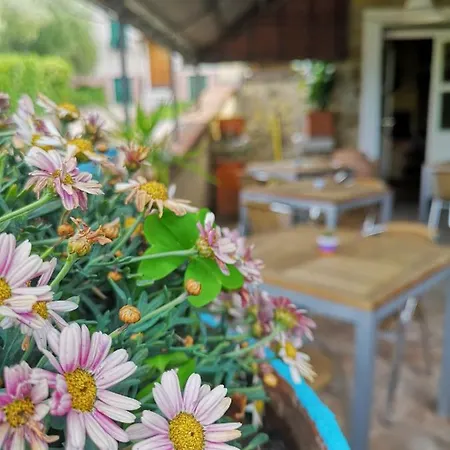 Hotel Miranda Tellaro