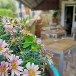 Hotel Miranda Tellaro