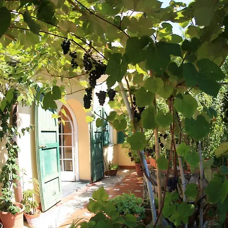 Miranda 3* Tellaro
