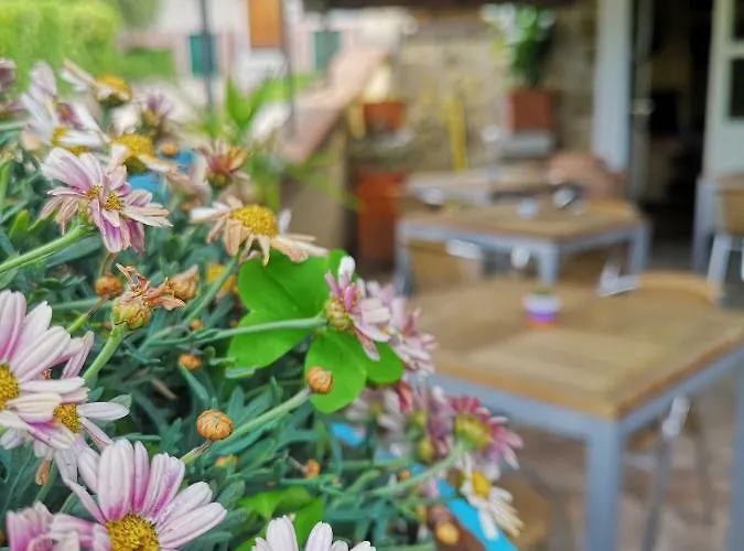 Hotel Miranda Tellaro